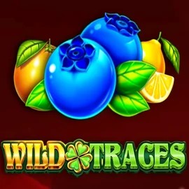 Enjoy Wild Traces by Amusnet Interactive – logo hosted on elitesspin.com